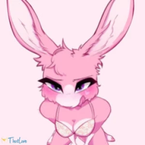 LovelyBunnsBunny